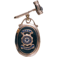 Auxiliary Past President 10K Gold Gavel Pin