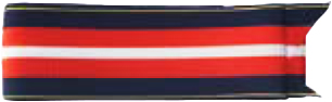 Auxiliary Past Department Officer Sash