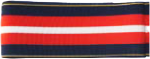 Auxiliary Past NEC Sash