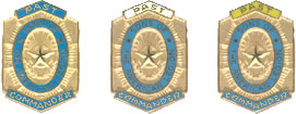 SAL Past Officer Lapel Tack - Gold Fill