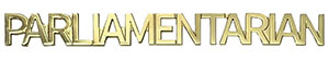 Parliamentarian Cap Pin