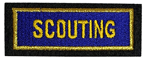 Scouting Insignia