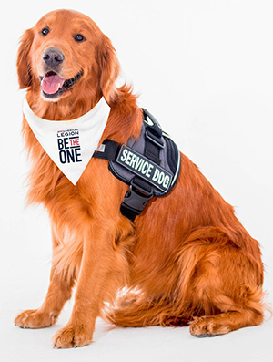 BE THE ONE Service Dog Bandana