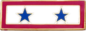 Blue Star Service Tack - Two Stars