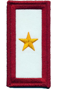 Gold Star Service Patch